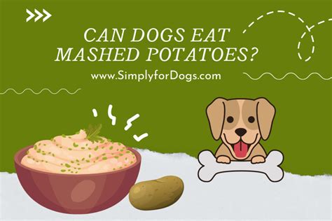 Can I Feed My Dog Mashed Potatoes? And Why Do Cats Always Land on Their Feet?