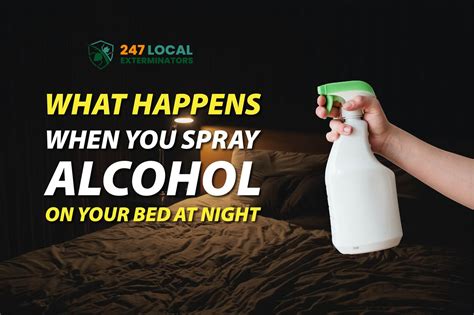 Can I Spray Alcohol on My Bed for Bed Bugs? And Why Not Turn Your Mattress into a Science Experiment?