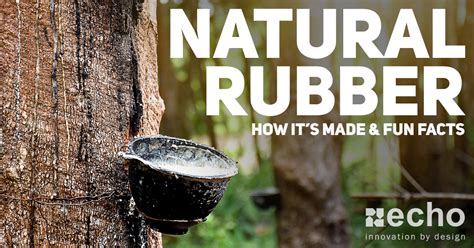 Is Rubber Organic? Exploring the Elastic Boundaries of Nature and Industry