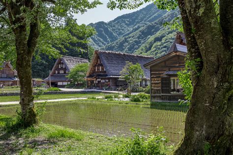 ピックアップトラック 日本：都市と田舎の架け橋