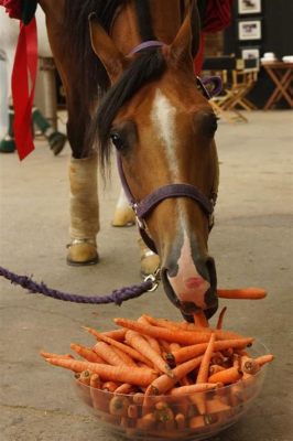 What Should I Feed My Horse: And Why Do They Love Carrots So Much?